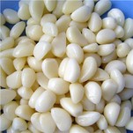 Cațel de usturoi umplut cu azot, ambalat în vid, proaspăt congelat