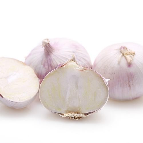 src=http___pic1.womai.com_upload_601_603_606_64306_280374_206960_537821_537821_1_pic500_2189.jpg&refer=http___pic1.womai